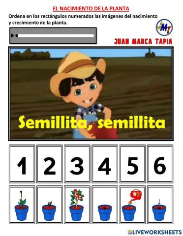 El Nacimiento y crecimiento de la planta