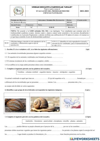 Evaluacion quimestral de ccnn 6to egb