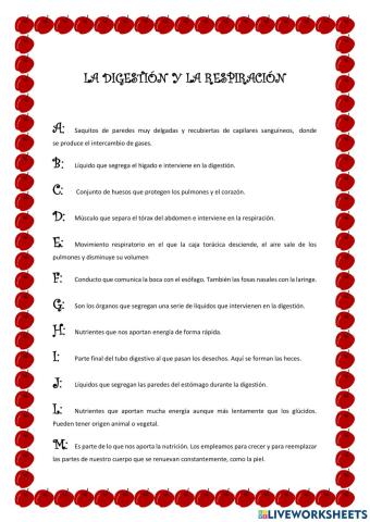 La digestión y la respiración
