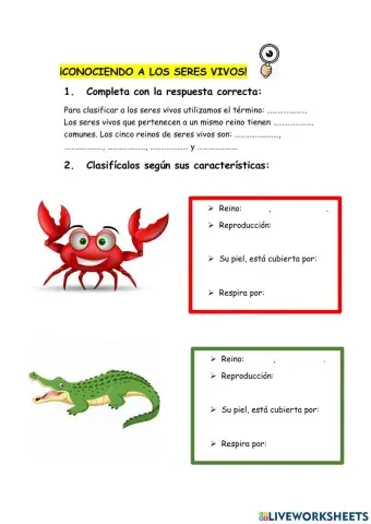 ¡Atrévete a clasificarnos!