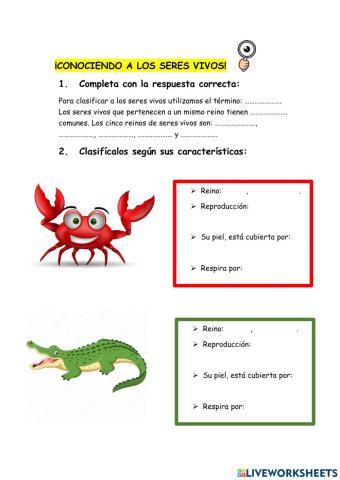 ¡Atrévete a clasificarnos!