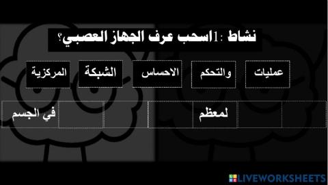 تعريف الجهاز العصبي