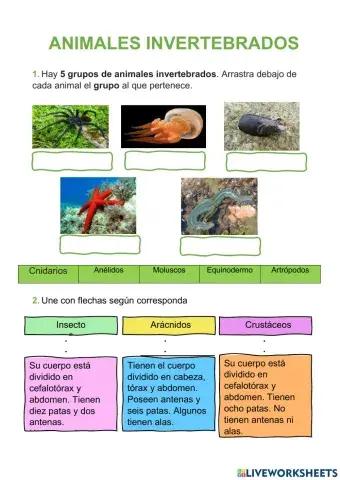 Evaluación Formativa