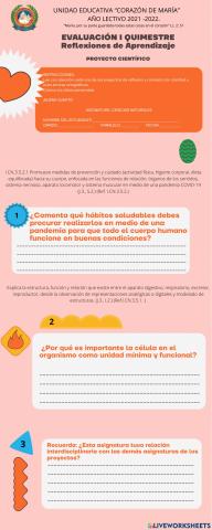 Evaluación quimestral
