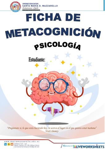 PSICOLOGÍA METACOGNICIÓN- II PARCIAL