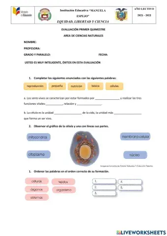 Evaluación del primer quimestre
