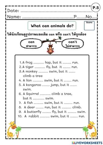 การใช้ can can't