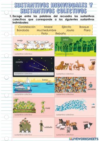 Sustantivos individuales y colectivos