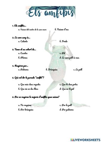 Els Amfibis