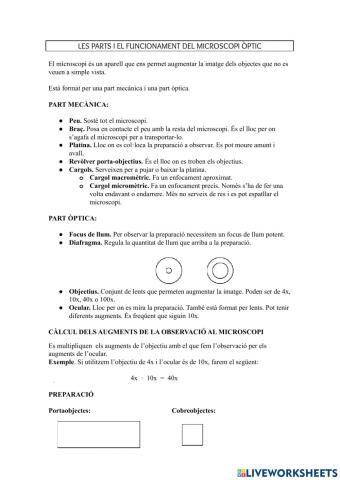 El microscopi òptic