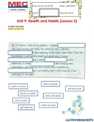 Adverbs of Frequency (Always-Often-Sometimes-Never)