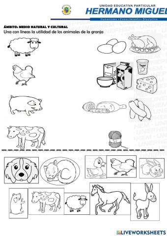 Clasificar animales Domésticos: Granja y de compañía