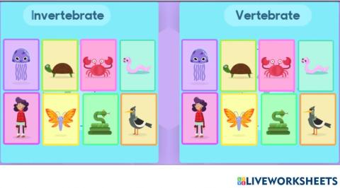 Vertebrates and invertebrate