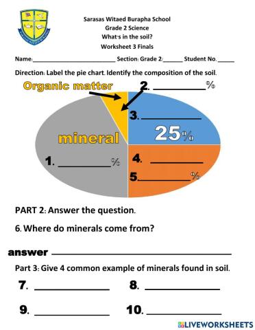 Worksheet 3, What is in the soil?, Finals, Minerals