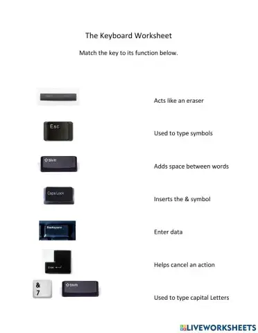 The Keyboard Worksheet