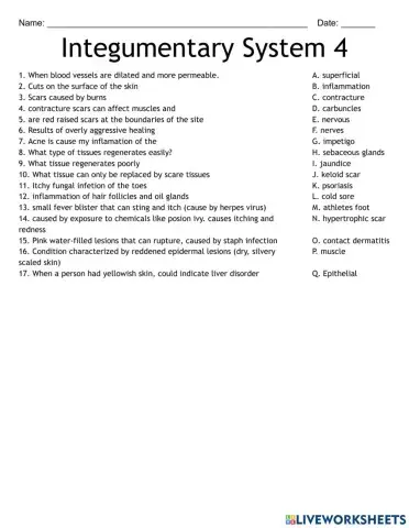 Integumentary system 4