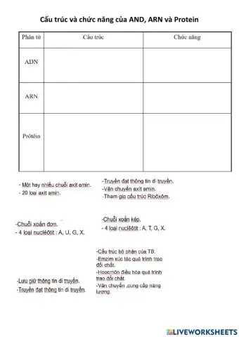 Cấu trúc và chức năng của ADN, ARN, Protein