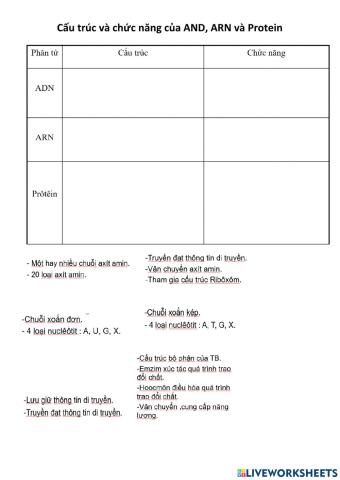 Cấu trúc và chức năng của ADN, ARN, Protein