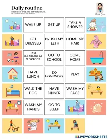 Daily Routine