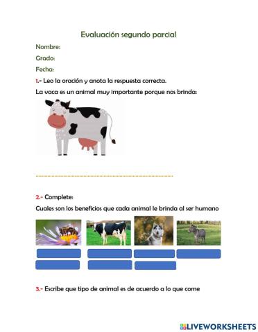 Examen qui 1 naturales tercero