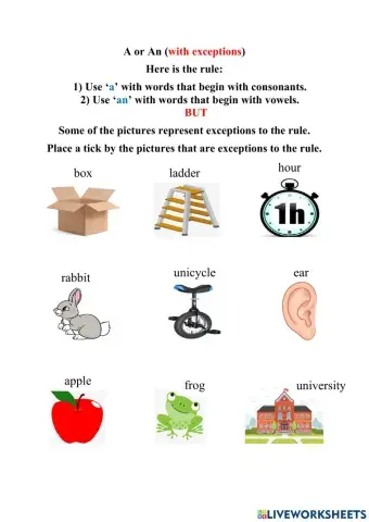 The use of a and an (with exceptions) -1