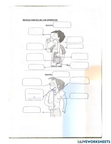 Aparatos de la función de nutrición