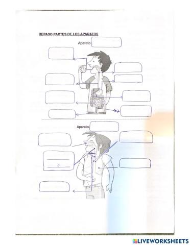 Aparatos de la función de nutrición