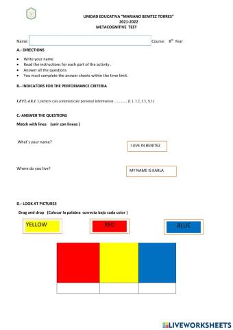 Metacognitive test (nee)