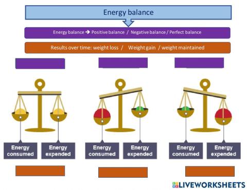 Energy balance