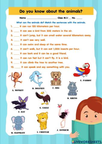 Do you know about animals?