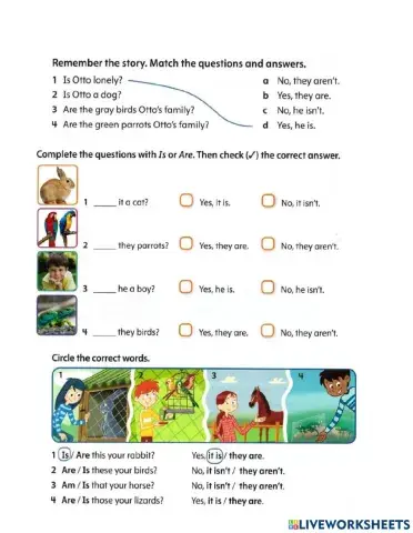 Grammar Unit 2 Review