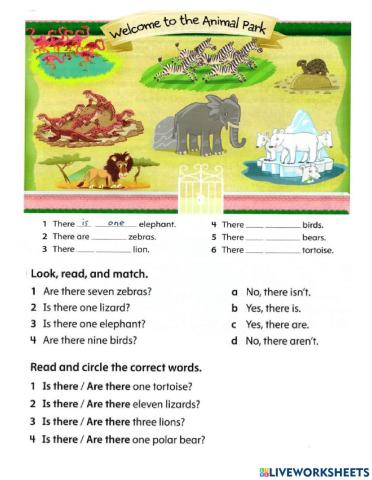 Grammar Unit 3 Review