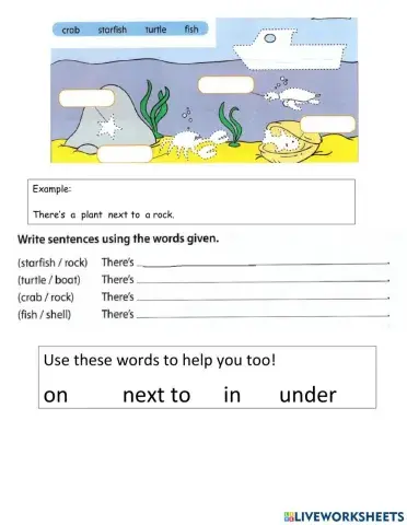 Unit 4 Grammar Review