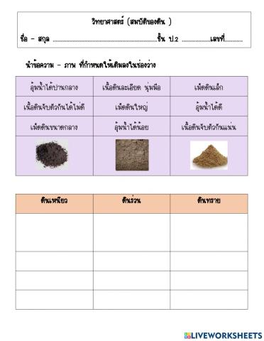 วิทยาศาสตร์