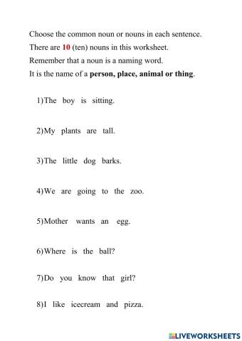 Nouns (Common Nouns)