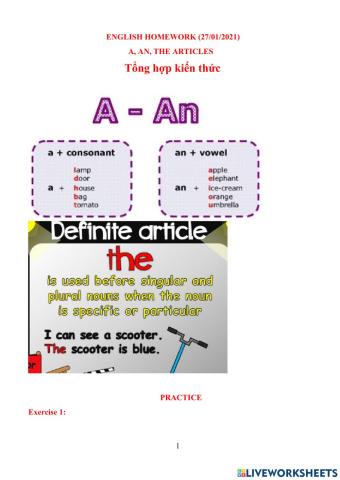 A, an, the articles