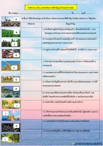 ใบกิจกรรม ทรัพยากรของทวีปอเมริกาเหนือ