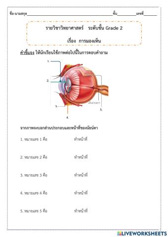 ส่วนประกอบของนัยน์ตา