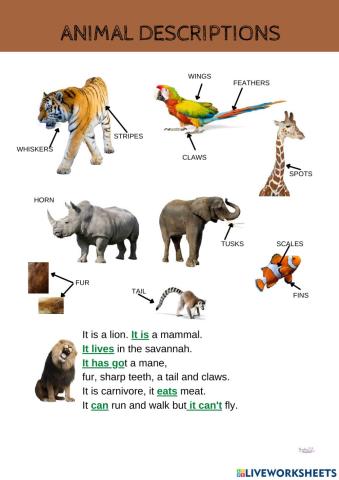 Animal descriptions