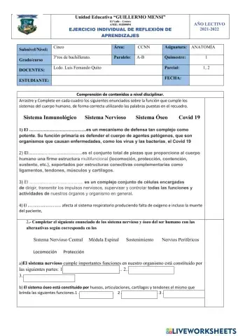 Examen de Anatomía NEE