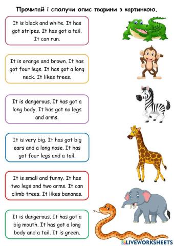 Describing Jungle Animals
