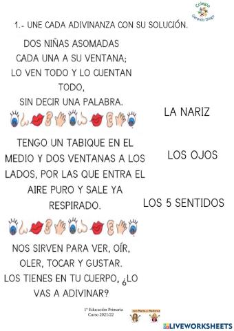 Adivinanzas sentidos