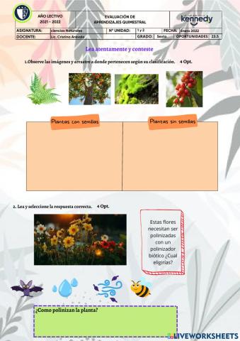 Examen Ciencias Naturales