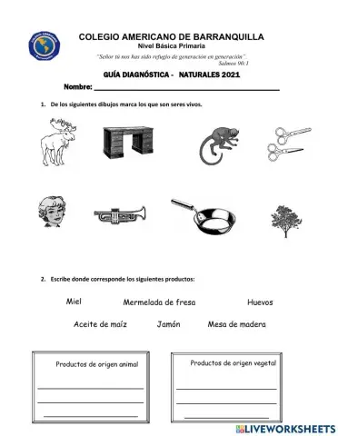 Ficha diagnóstica de naturales. 