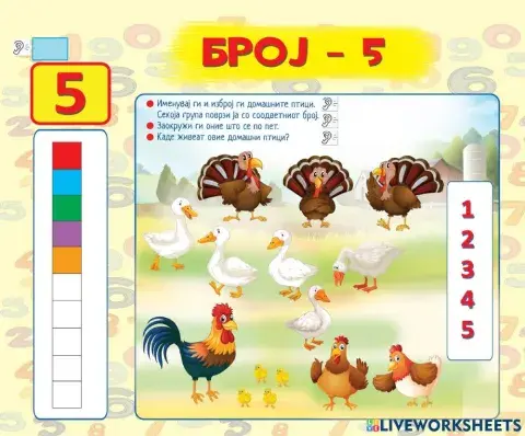 Број 5 (Во соработка со Росица)