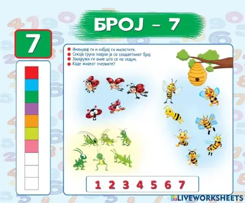 Број 7 (Во соработка со Росица)