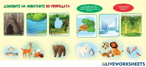 Домовите на животните во природата (Во соработка со Росица)