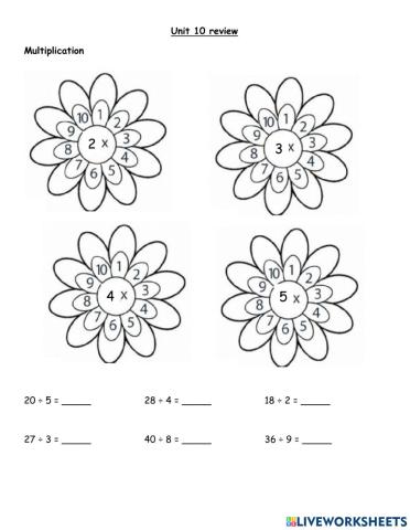 Multiplication Practice