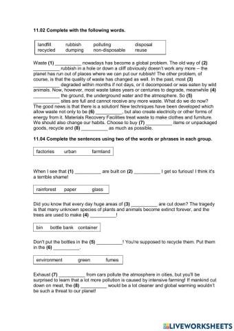 Vocabulary (Environment)