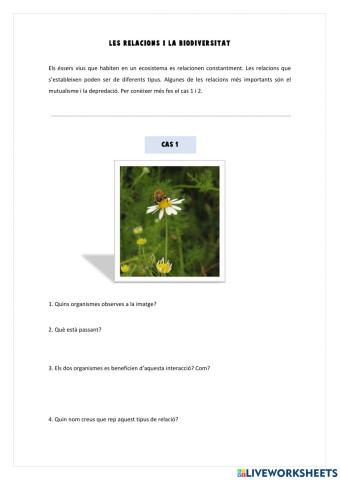 La biodiversitat i les relacions
